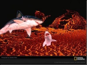 NO, this is not real but the video from Nat Geo Is!